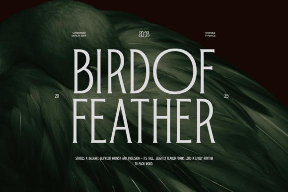 Bird of Feather: A Refined Serif Font for Elegant Craft and Product Design