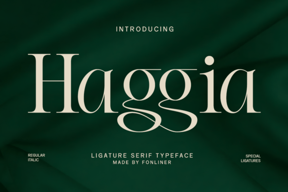 Haggia Font: Elevating Digital Branding with Elegant Serifs