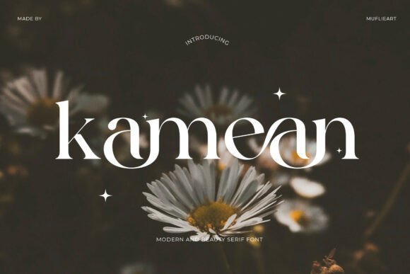 Kamean Font: Modern Serif Typography for Web Design